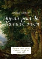 Пучай река да Калинов мост. Вторая книга цикла «Старая сказка на новый лад»