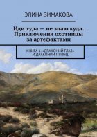 Иди туда – не знаю куда. Приключения охотницы за артефактами. Книга 1. «Драконий глаз» и драконий принц