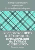 Колдовское лето в Боровичково. Приключения на турбазе «Олений рог». Повести-сказки