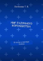 Мир Разумного Королевства. В гостях у мистера Успеха