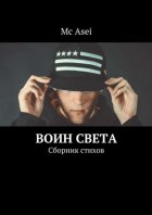 Воин света. Сборник стихов