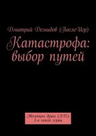 Катастрофа: выбор путей. Эволюция души (Э.Д.). 3-я книга серии