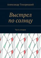 Выстрел по солнцу. Часть вторая