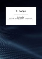 О, Камбр! или Не оглядывайся в полете!..