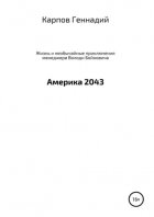 Жизнь и необычайные приключения менеджера Володи Бойновича, или Америка 2043