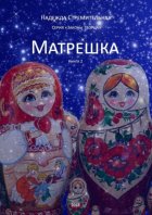 Матрешка. Серия «Законы Творца». Книга 2