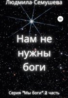 Нам не нужны боги. Серия «Мы боги». 2 часть