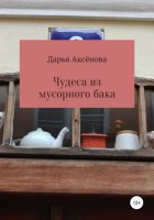 Чудеса из мусорного бака