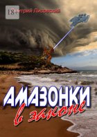 Амазонки в законе. Вторая часть трилогии «Амазонки в Космосе»