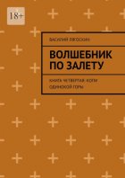 Волшебник по залету. Книга четвертая: Копи Одинокой горы