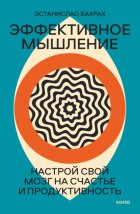 Эффективное мышление. Настрой свой мозг на счастье и продуктивность