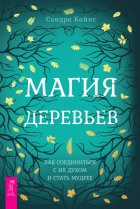 Магия деревьев. Как соединиться с их духом и стать мудрее