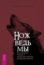 Нож ведьмы: изготовление, история и магические свойства ритуальных клинков