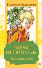 Чудак из пятого «Б». Повести и рассказы