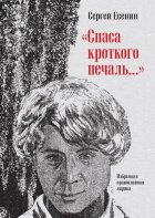 «Спаса кроткого печаль…» Избранная православная лирика