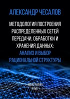 Методология построения распределенных сетей передачи, обработки и хранения данных: анализ и выбор рациональной структуры. Монография. Том 1